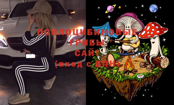 спайс Ельня