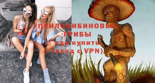 синтетический гашиш Елизово