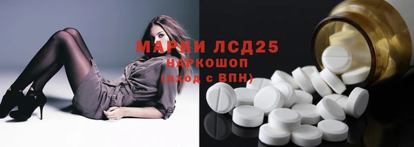 спайс Ельня