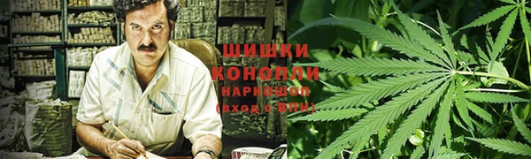 спайс Ельня