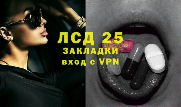спайс Ельня