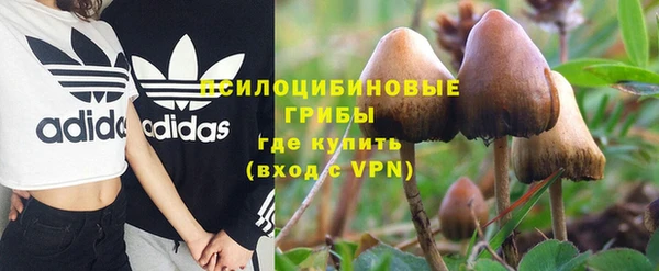ешки Елабуга